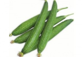 SPONGE GOURD