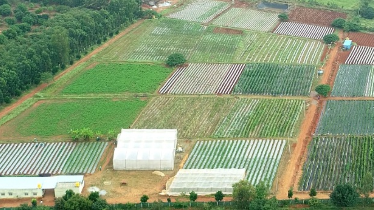 Research & Development