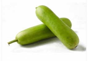 BOTTLE GOURD
